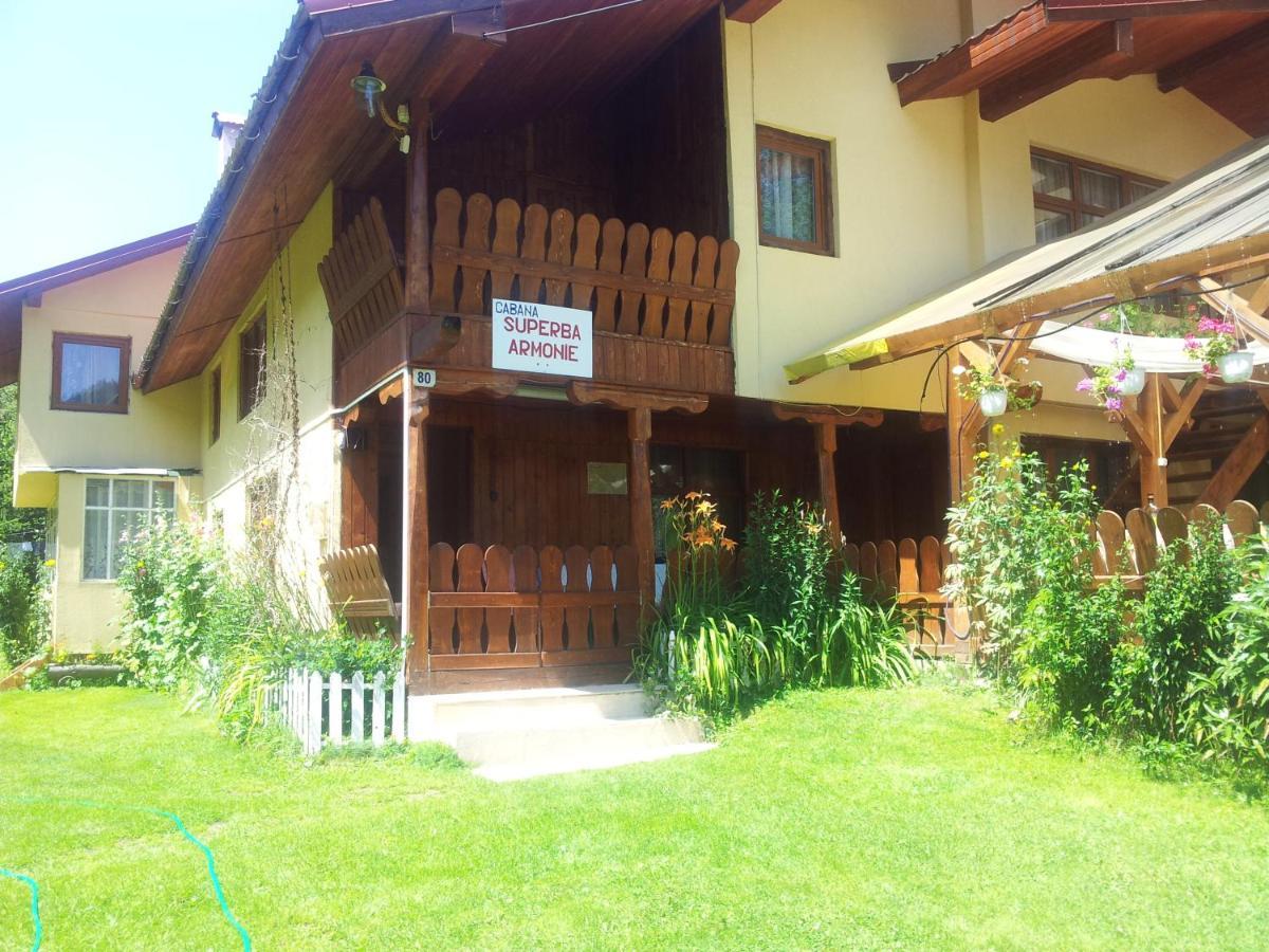 Cabana Suprema Armonie Dîmbovicioara Exterior foto